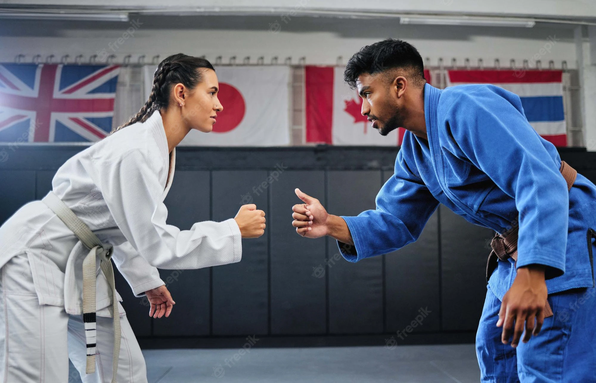 MMA vs Karate