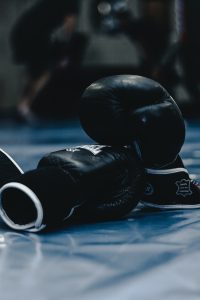 What are the Mixed Martial Arts techniques?